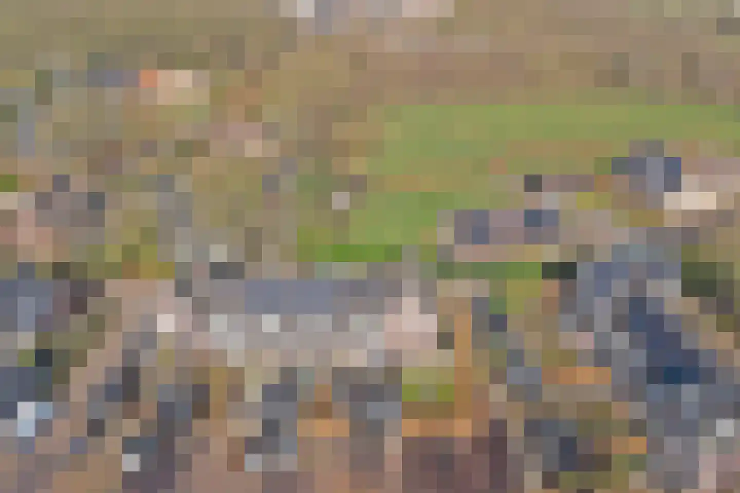 Ribbenboschweg 24 Ermelo thumbnail 49