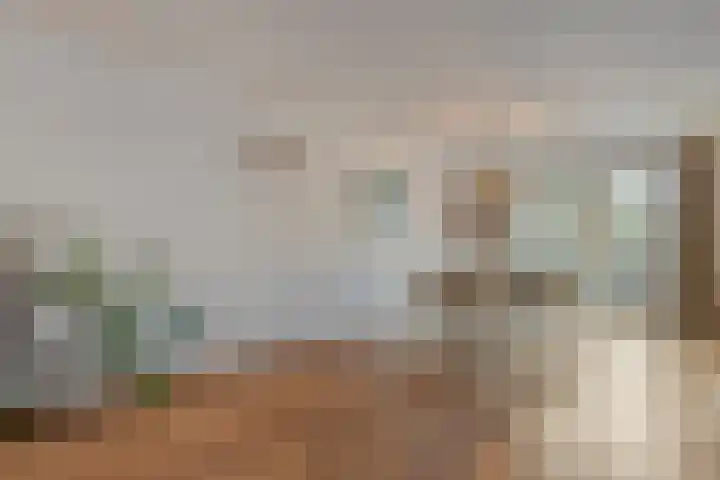 Ribberserf 6 Dalfsen thumbnail 11