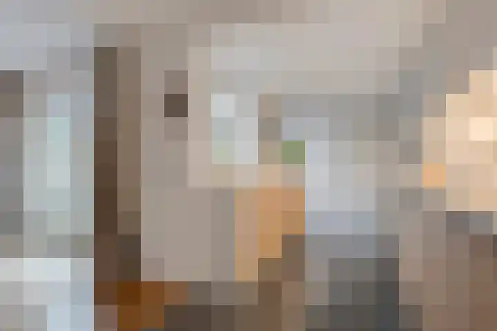 Ribberserf 6 Dalfsen thumbnail 14