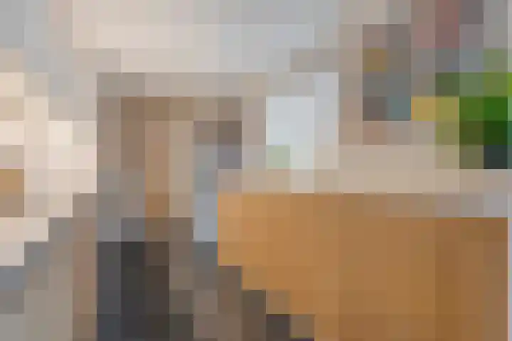 Ribberserf 6 Dalfsen thumbnail 16