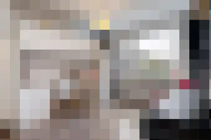 Ribberserf 6 Dalfsen thumbnail 21