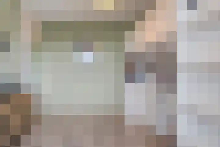 Ribberserf 6 Dalfsen thumbnail 22