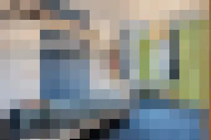 Ribberserf 6 Dalfsen thumbnail 23