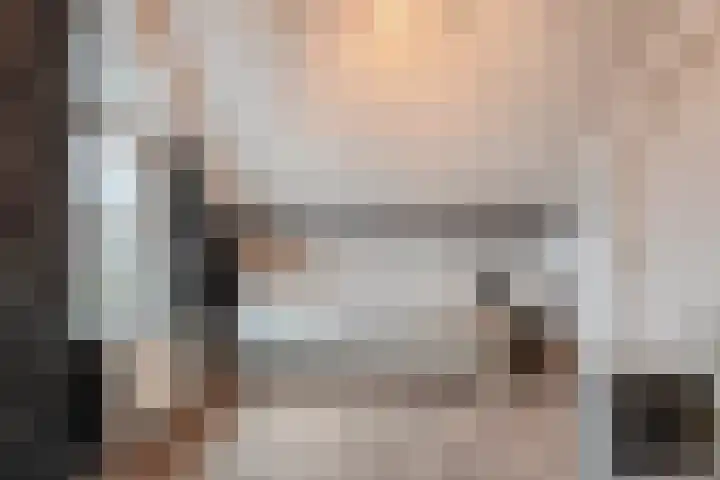 Ribberserf 6 Dalfsen thumbnail 33
