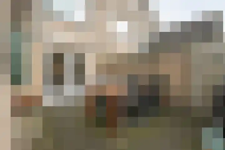 Ribberserf 6 Dalfsen thumbnail 39