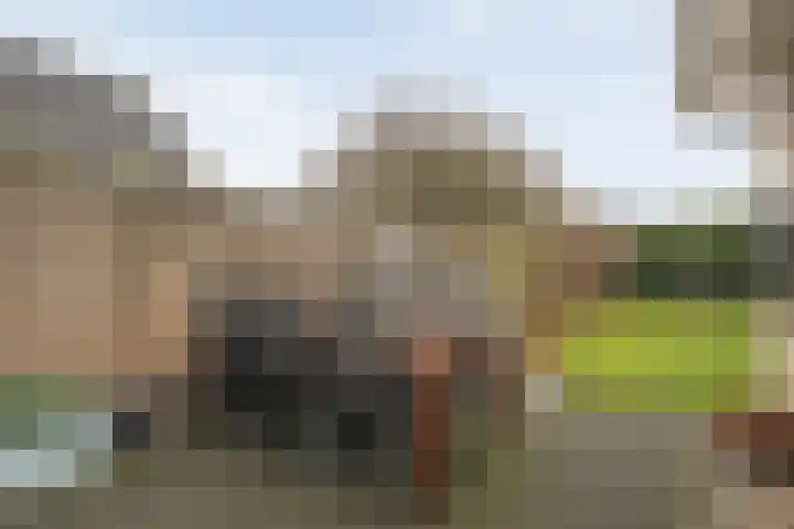 Ribberserf 6 Dalfsen thumbnail 40