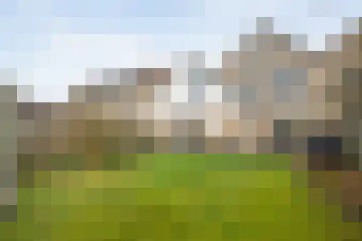 Ribberserf 6 Dalfsen thumbnail 43