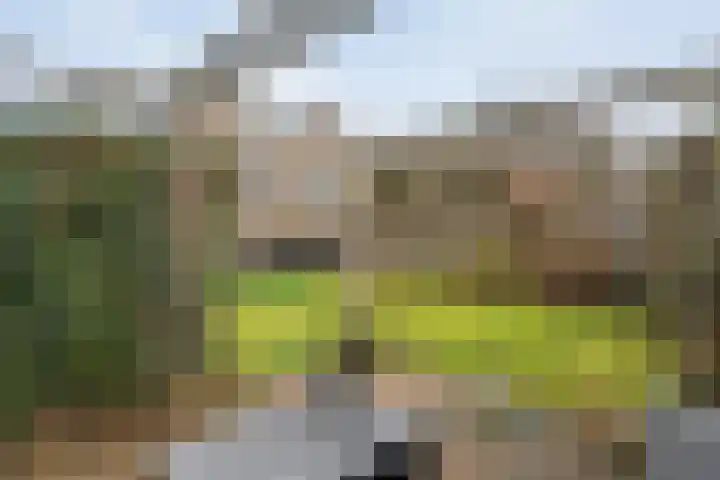 Ribberserf 6 Dalfsen thumbnail 45