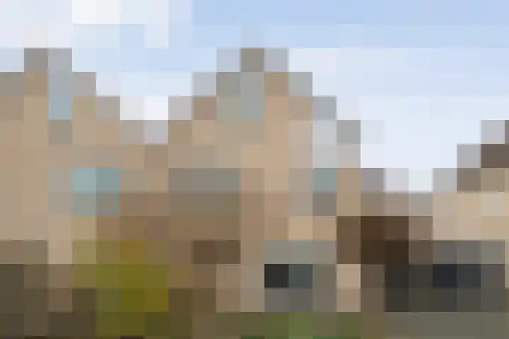 Ribberserf 6 Dalfsen thumbnail 46