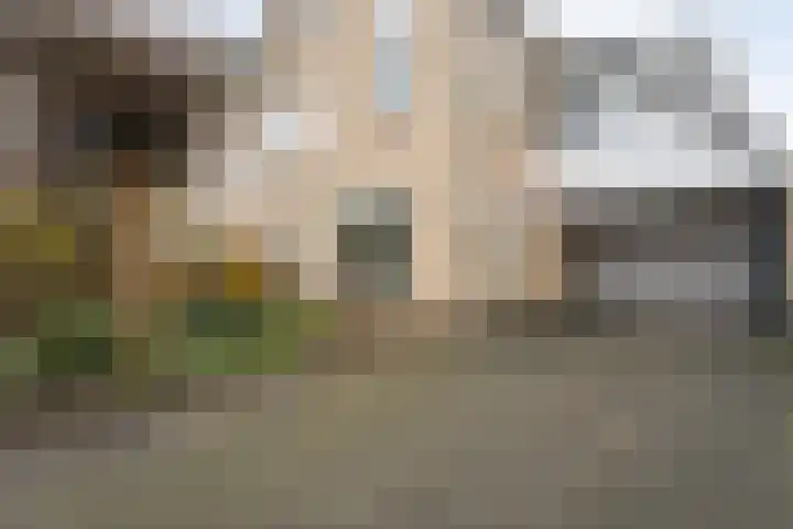 Ribberserf 6 Dalfsen thumbnail 50