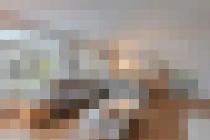 Ribberserf 6 Dalfsen thumbnail 9