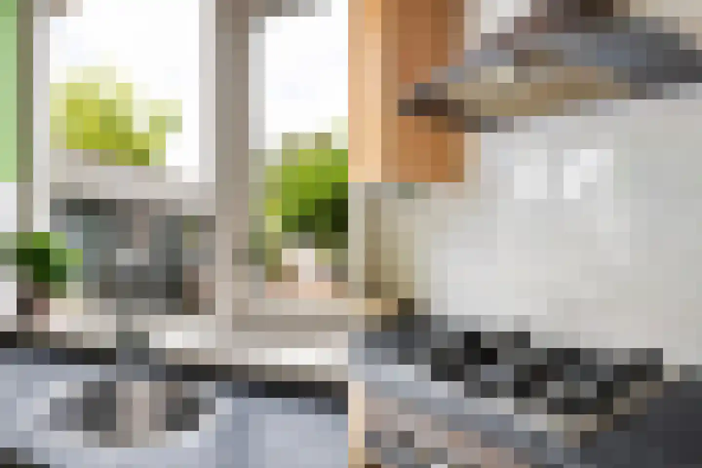 Ribes 1 Aldwâld thumbnail 16