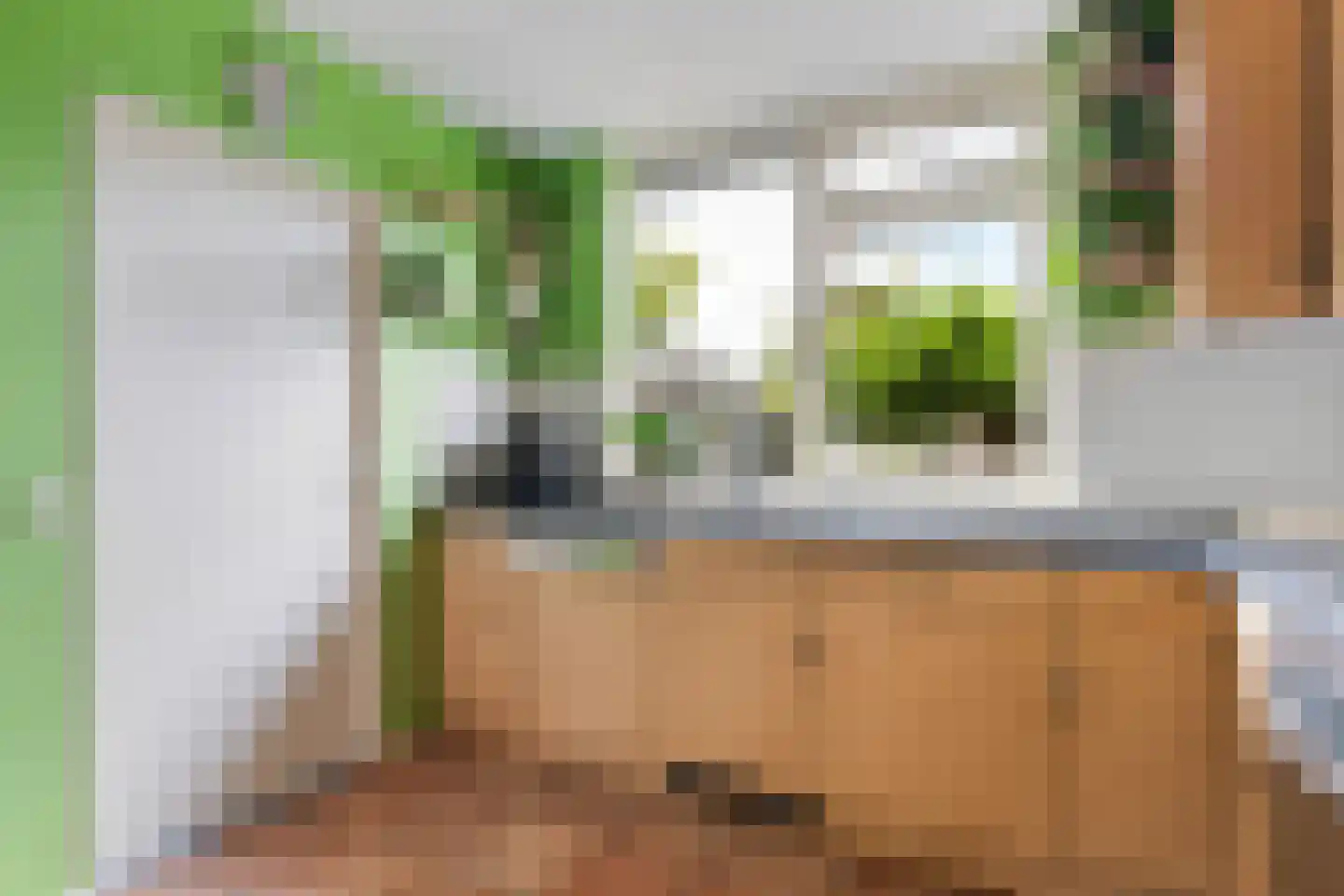 Ribes 1 Aldwâld thumbnail 18
