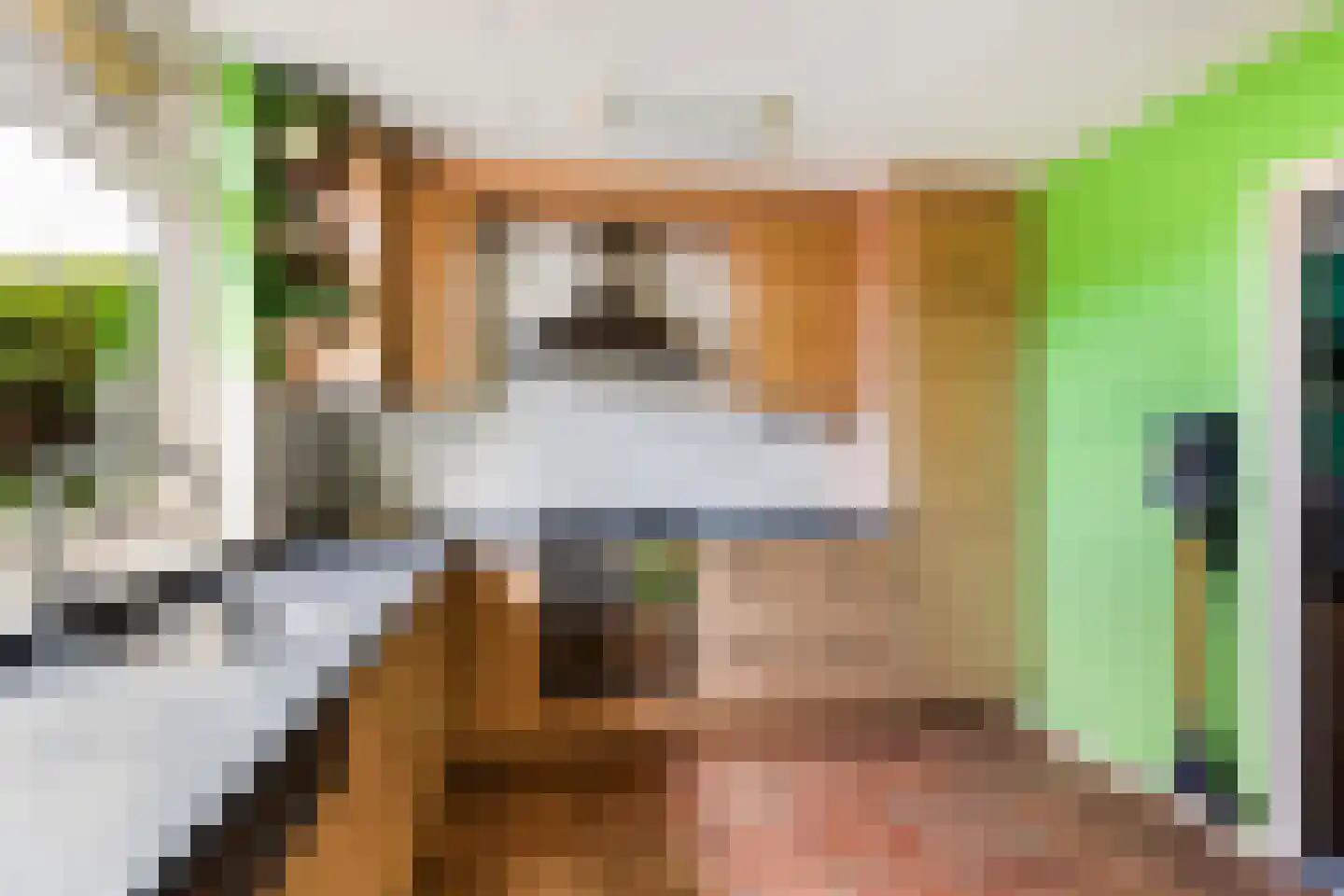 Ribes 1 Aldwâld thumbnail 19