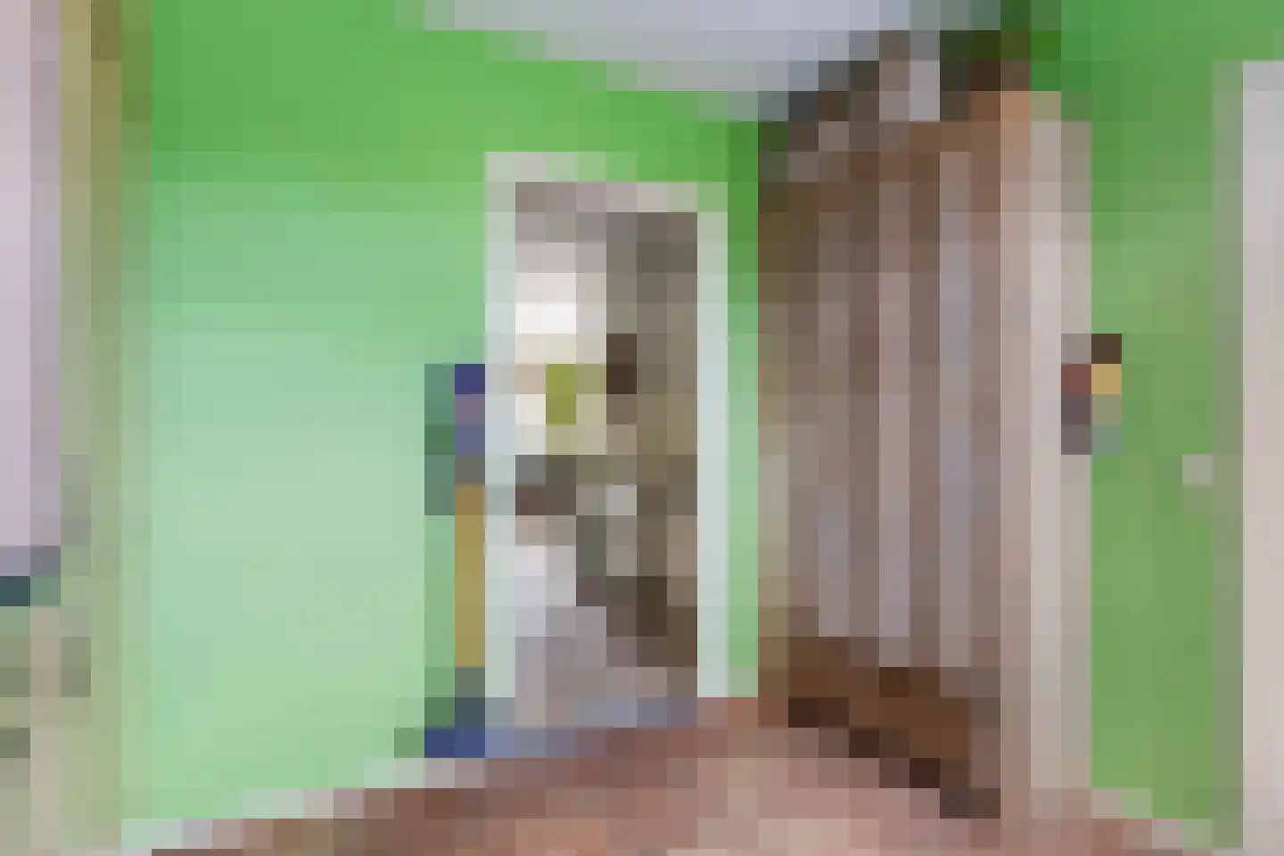 Ribes 1 Aldwâld thumbnail 20