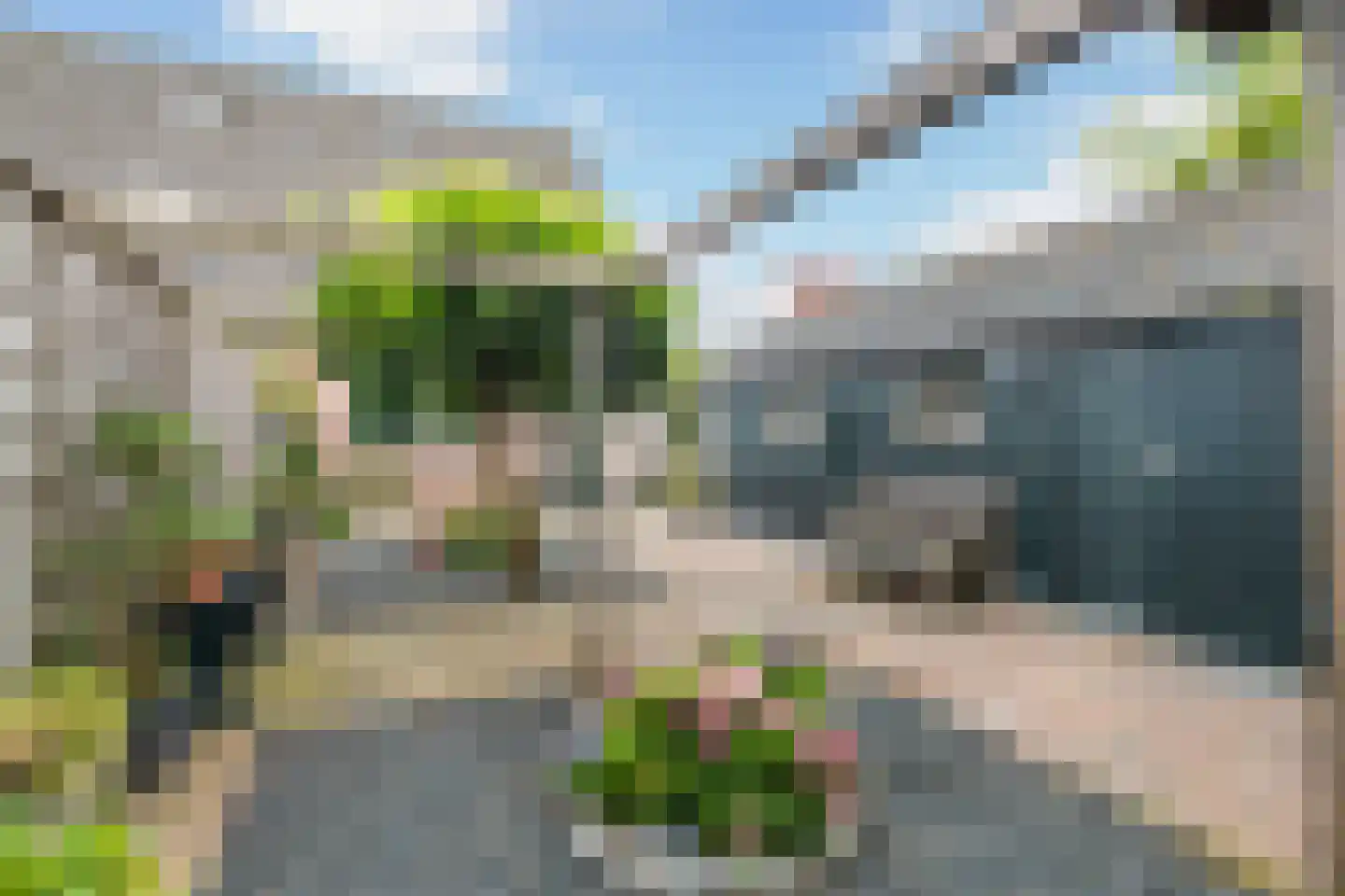 Ribes 1 Aldwâld thumbnail 24