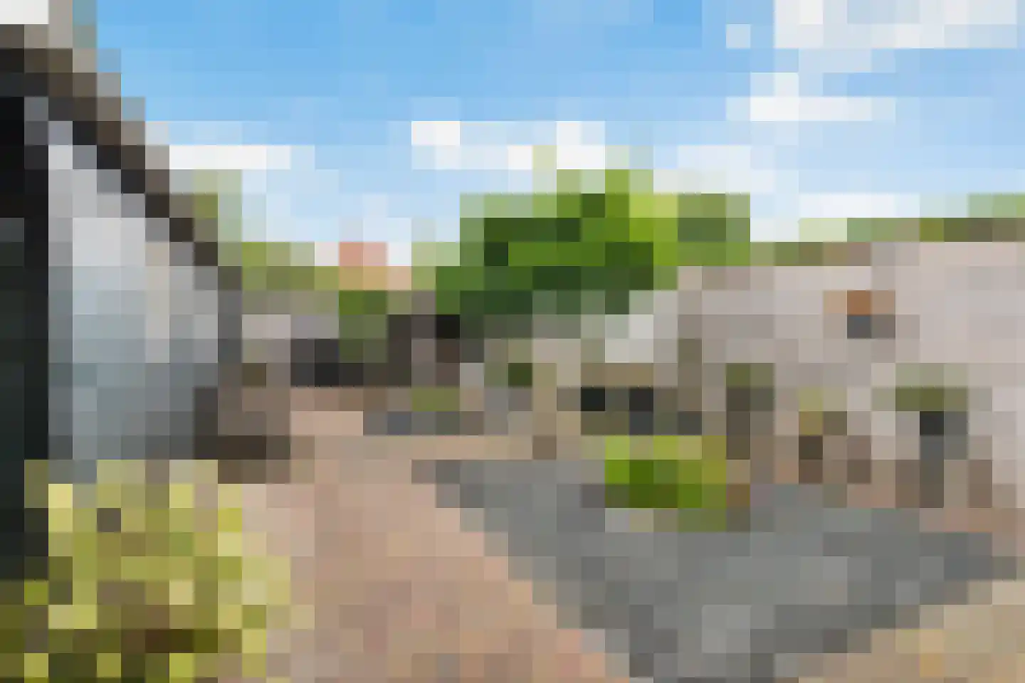Ribes 1 Aldwâld thumbnail 25
