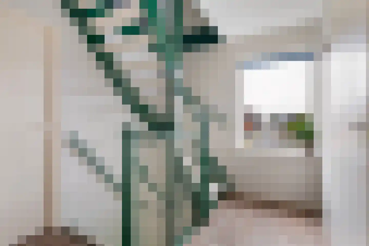 Ribes 1 Aldwâld thumbnail 26