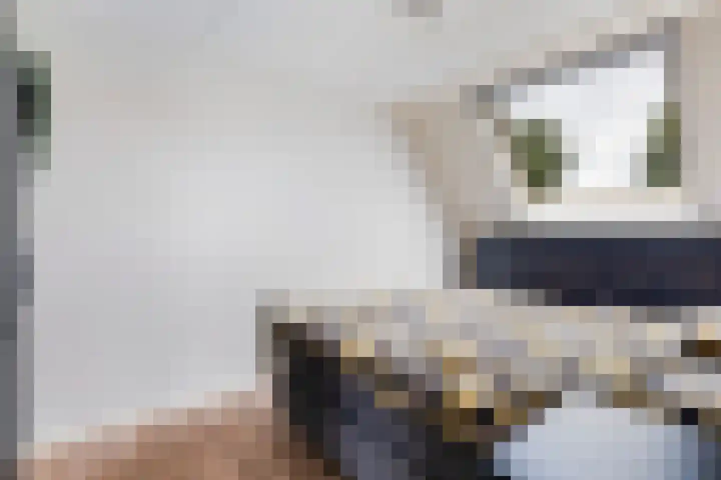 Ribes 1 Aldwâld thumbnail 29