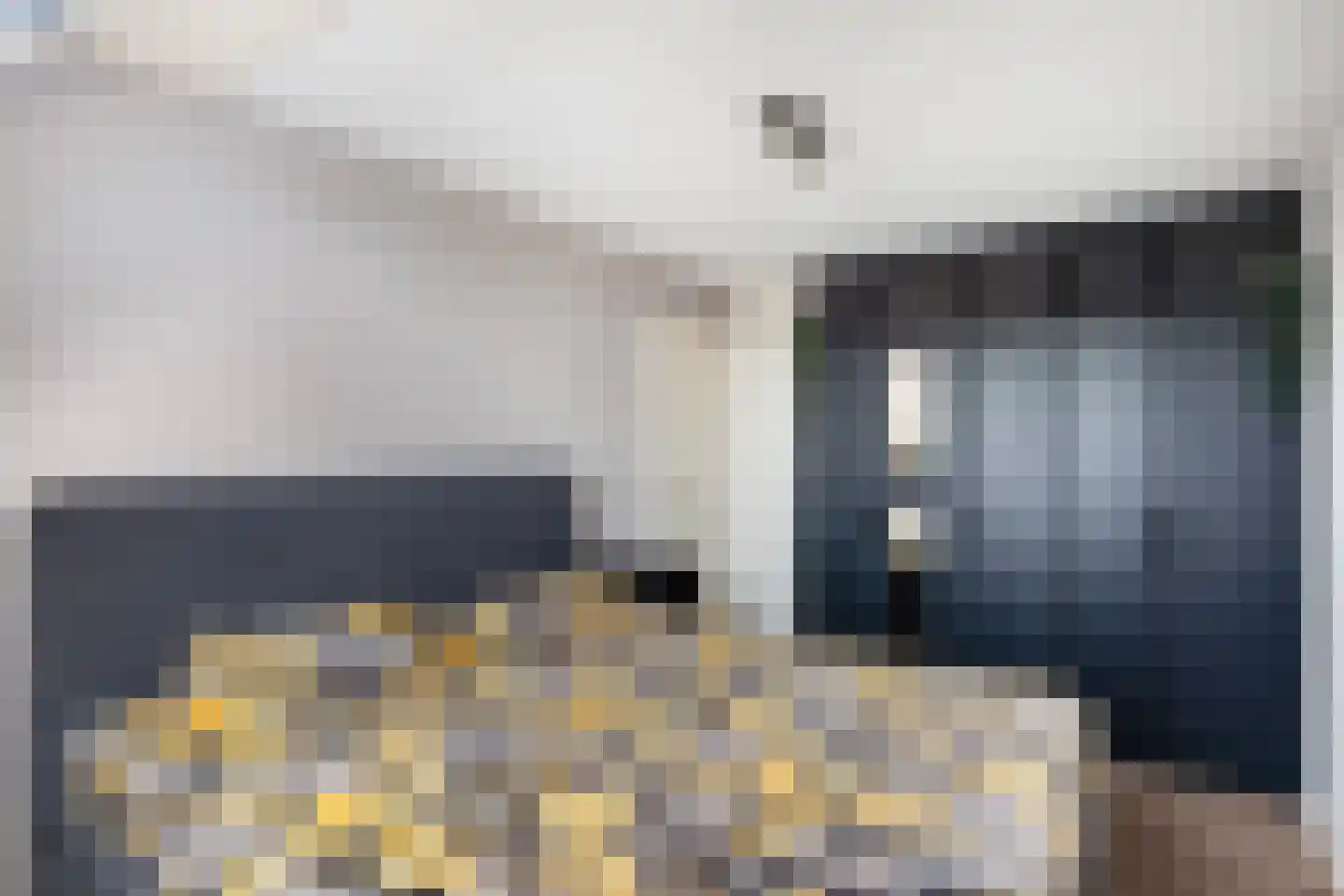 Ribes 1 Aldwâld thumbnail 30