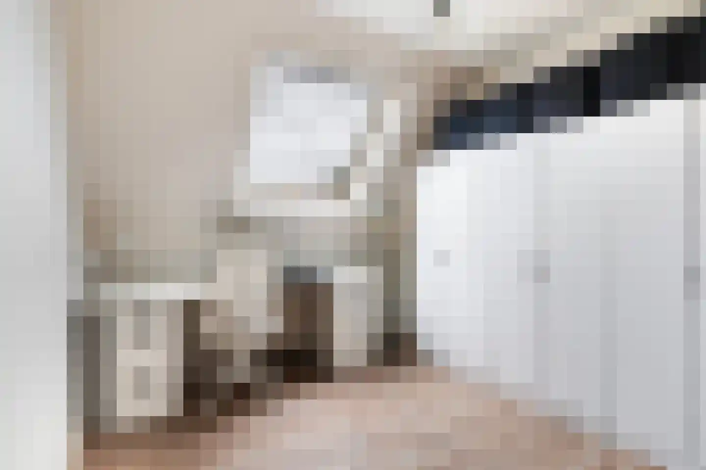 Ribes 1 Aldwâld thumbnail 31