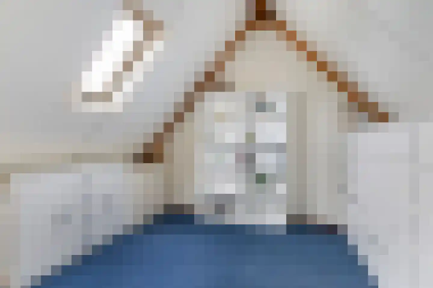 Ribes 1 Aldwâld thumbnail 33