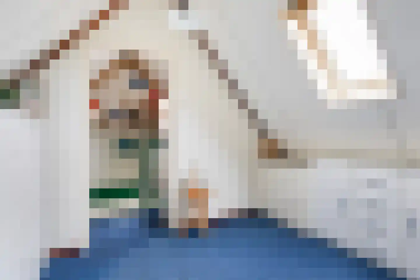 Ribes 1 Aldwâld thumbnail 34