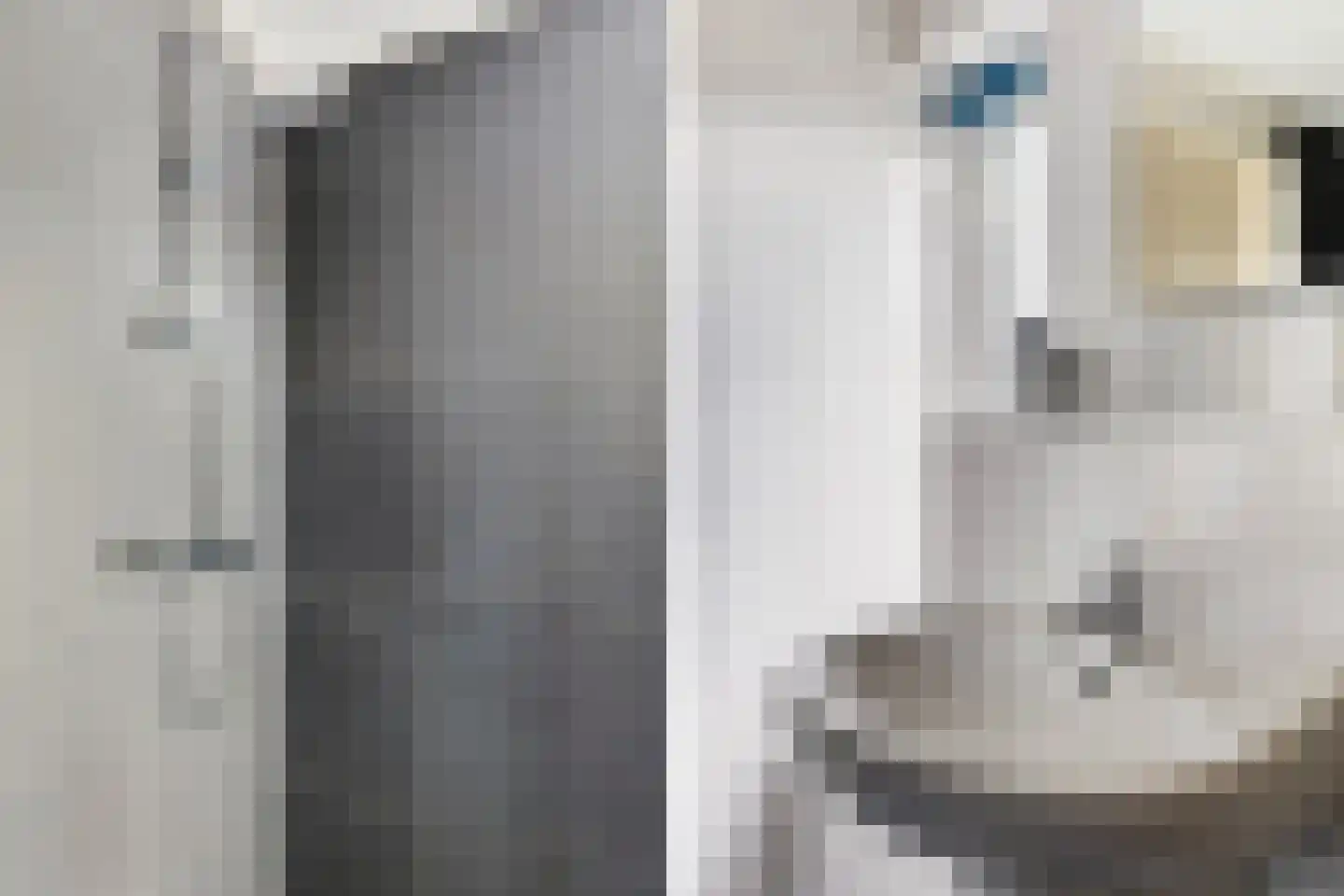 Ribes 1 Aldwâld thumbnail 37