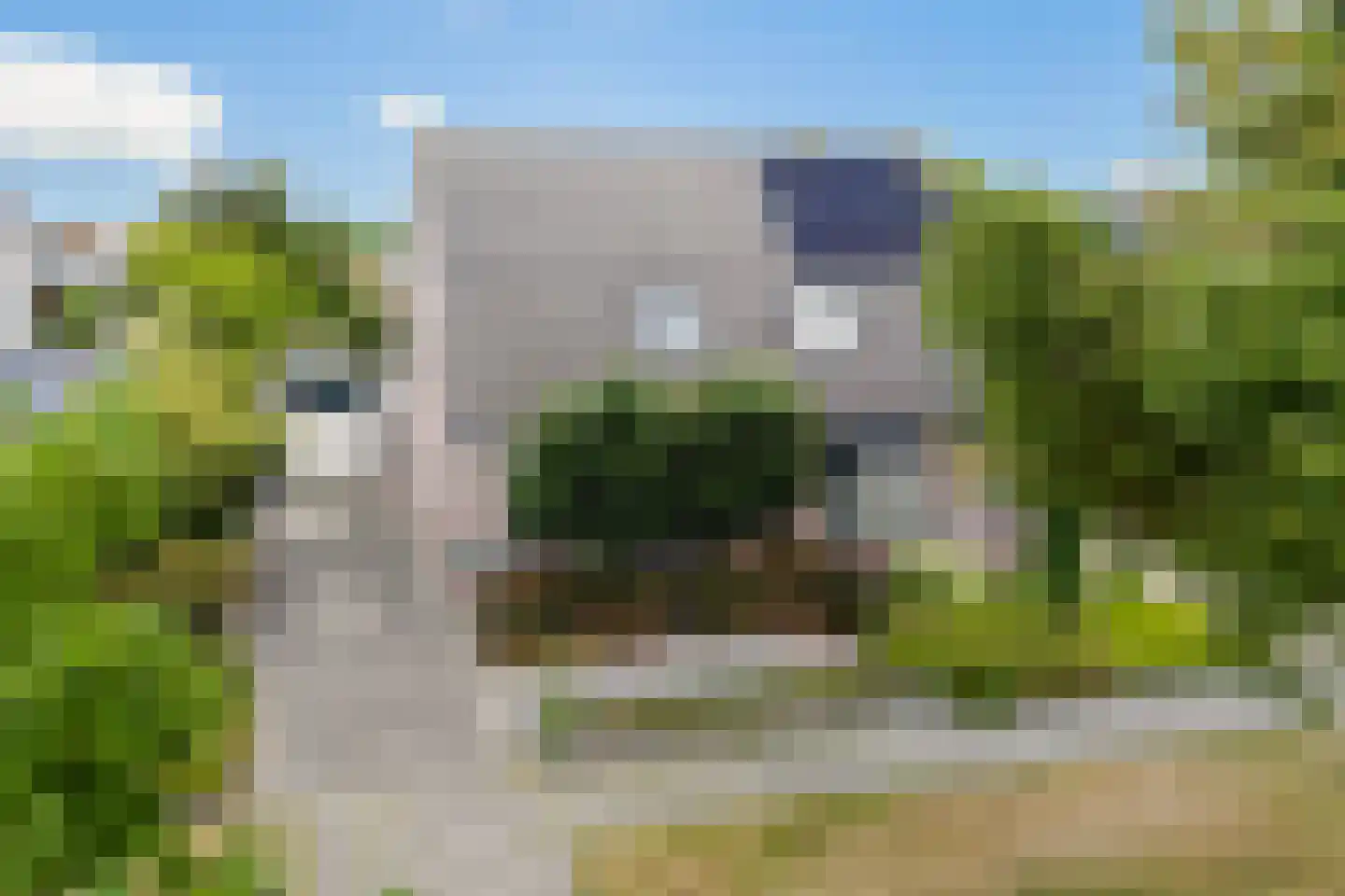 Ribes 1 Aldwâld thumbnail 40