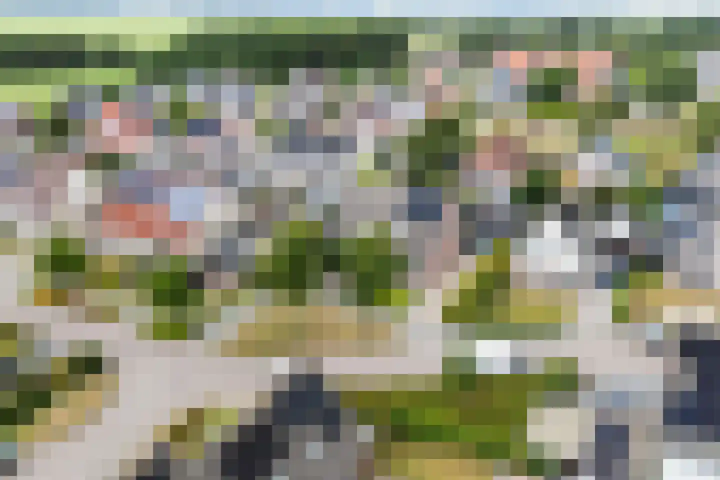 Ribes 1 Aldwâld thumbnail 41