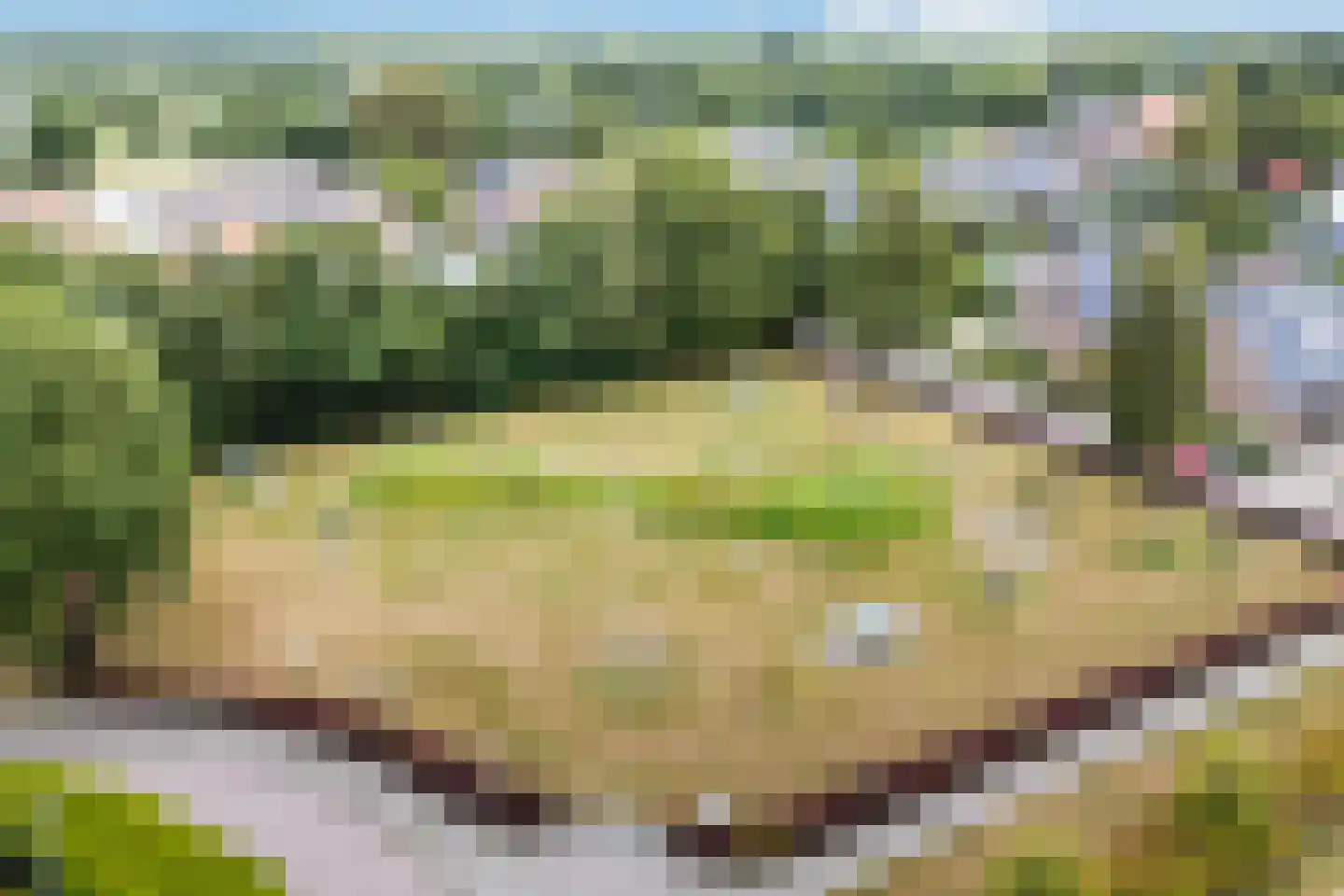 Ribes 1 Aldwâld thumbnail 47
