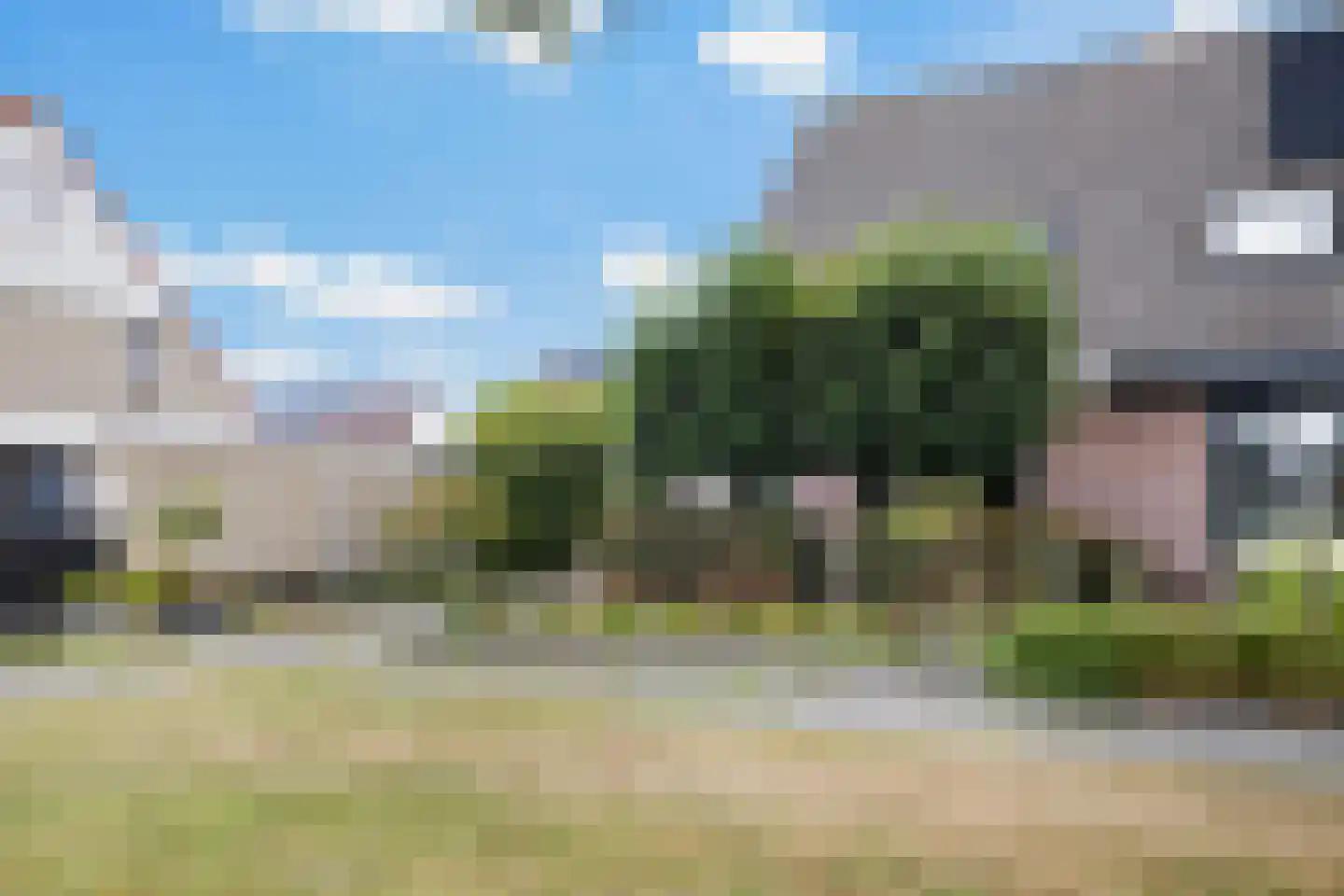 Ribes 1 Aldwâld thumbnail 6