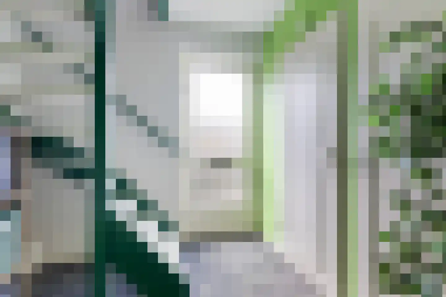 Ribes 1 Aldwâld thumbnail 8