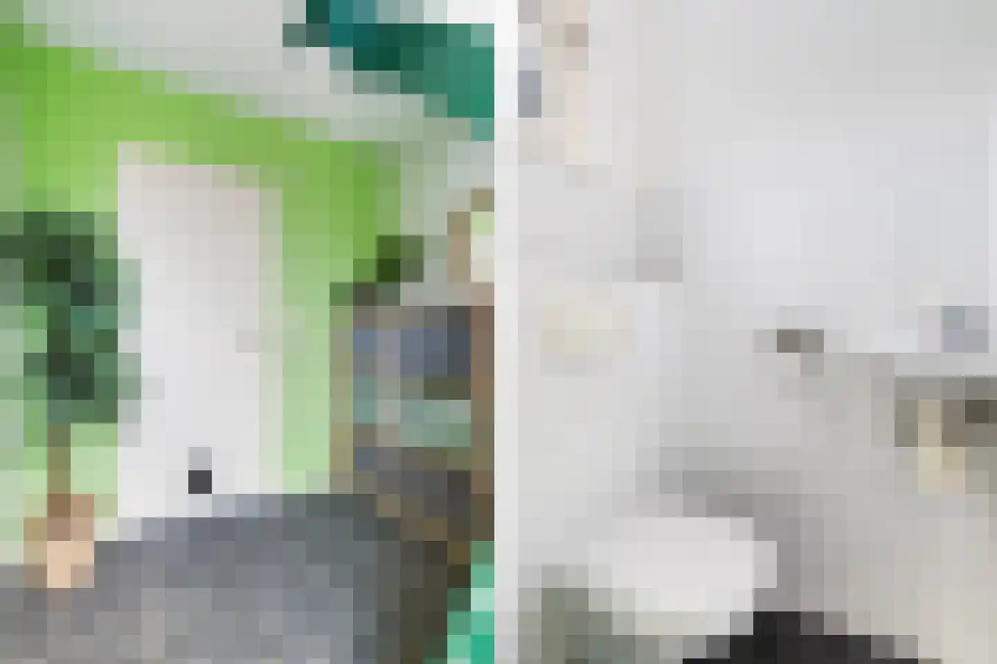 Ribes 1 Aldwâld thumbnail 9