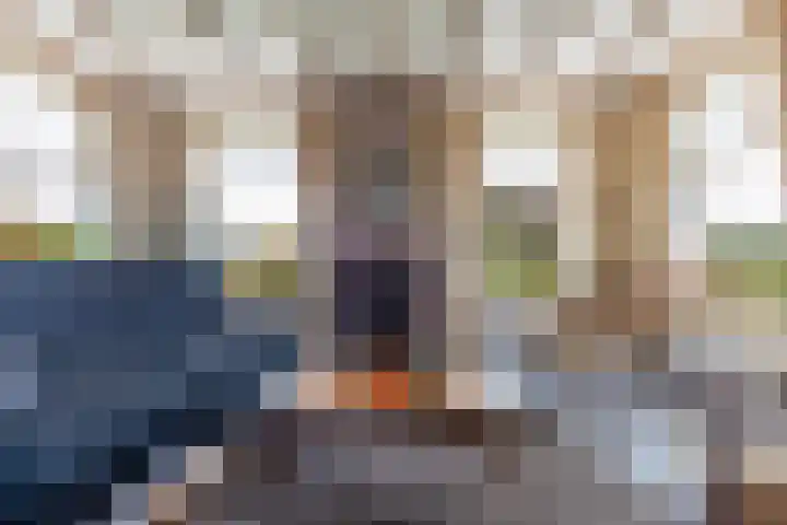 Ribes 9 Aldwâld thumbnail 11