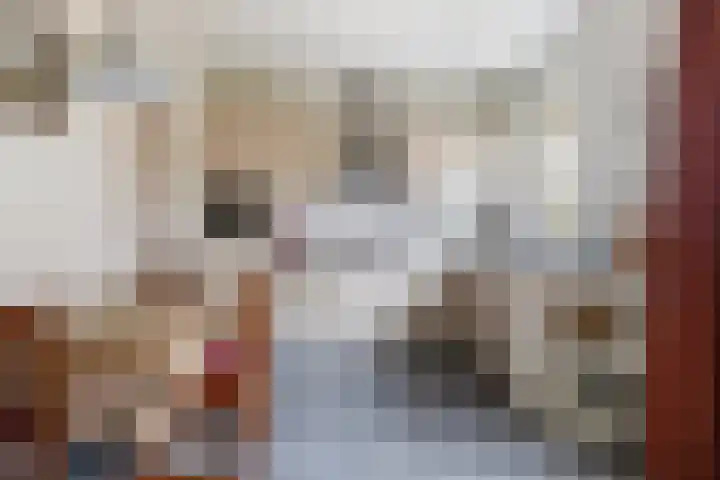 Ribes 9 Aldwâld thumbnail 15