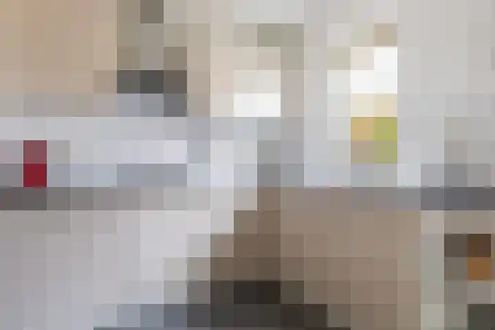 Ribes 9 Aldwâld thumbnail 16