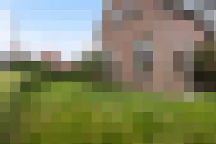 Ribes 9 Aldwâld thumbnail 18