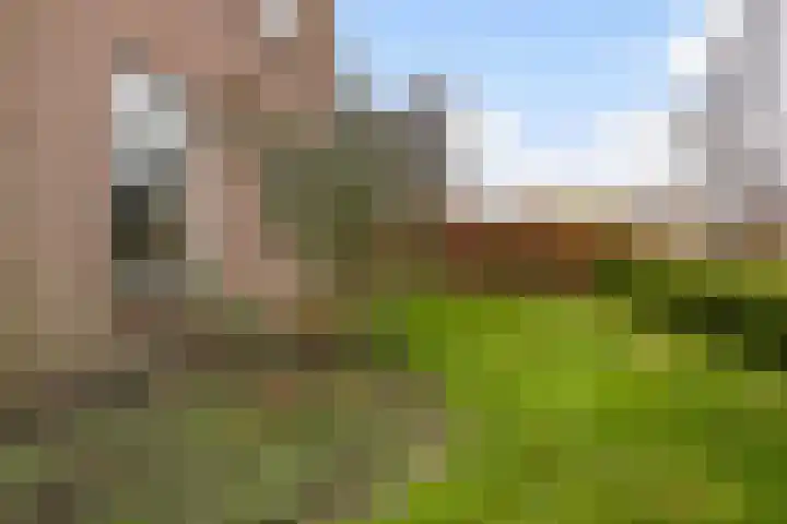 Ribes 9 Aldwâld thumbnail 19