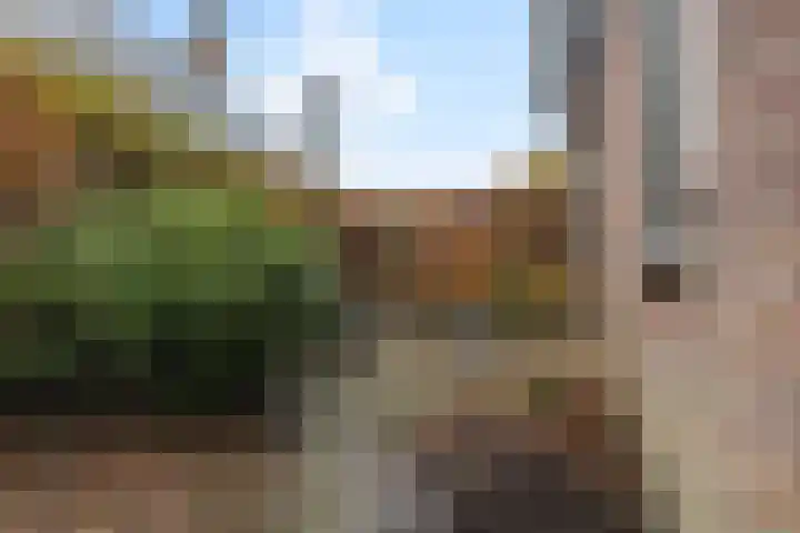 Ribes 9 Aldwâld thumbnail 20