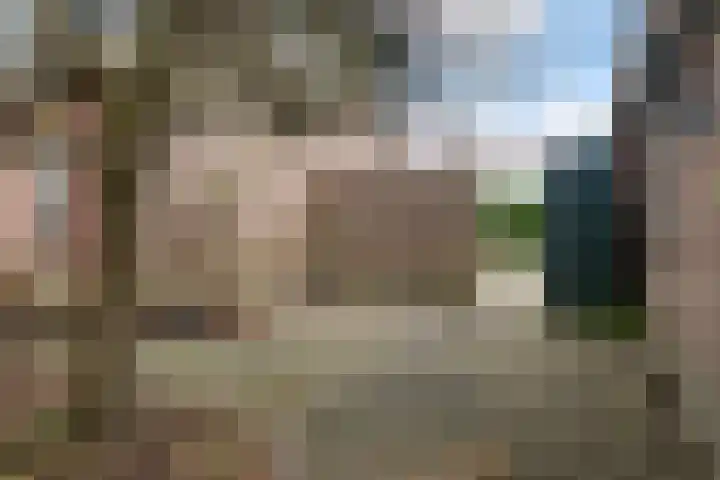 Ribes 9 Aldwâld thumbnail 21