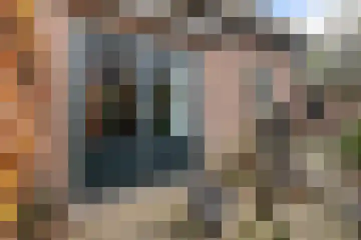 Ribes 9 Aldwâld thumbnail 23