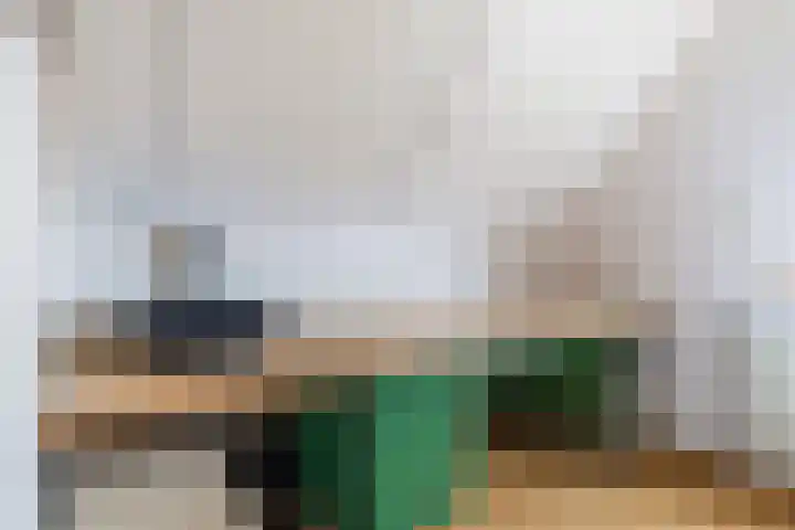 Ribes 9 Aldwâld thumbnail 27