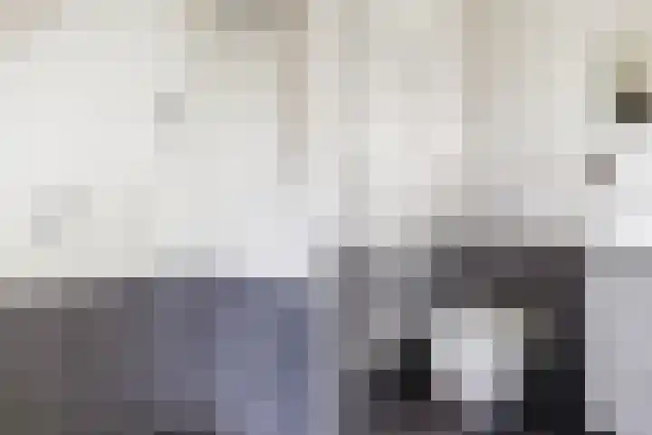 Ribes 9 Aldwâld thumbnail 32