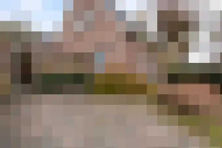 Ribes 9 Aldwâld thumbnail 33