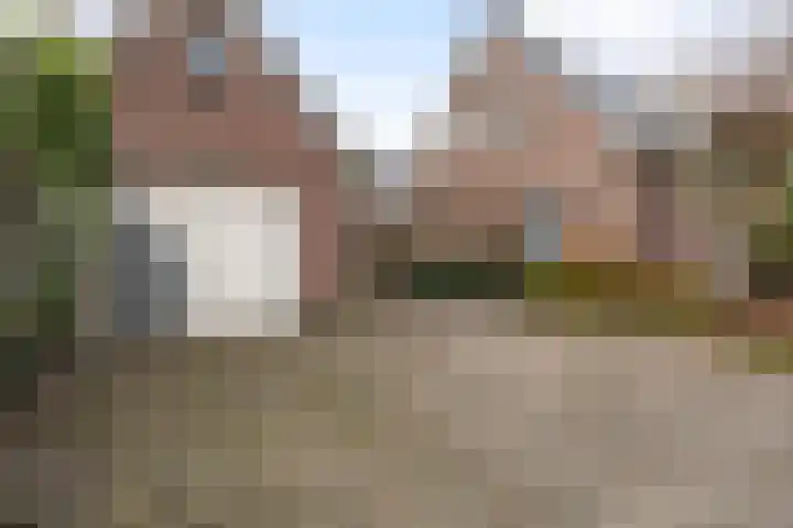 Ribes 9 Aldwâld thumbnail 34