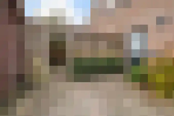 Ribes 9 Aldwâld thumbnail 35
