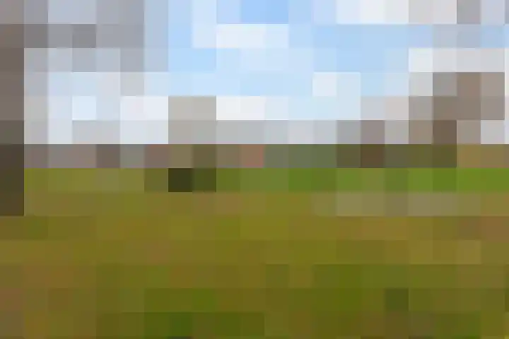 Ribes 9 Aldwâld thumbnail 36