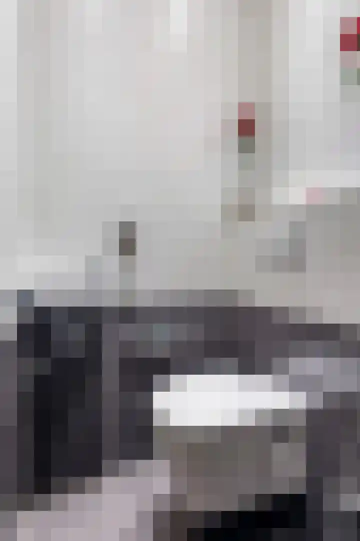 Ribes 9 Aldwâld thumbnail 4