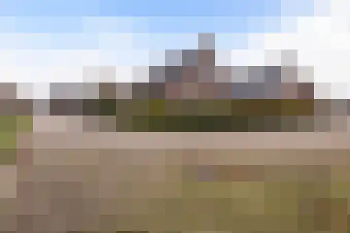 Ribes 9 Aldwâld thumbnail 5